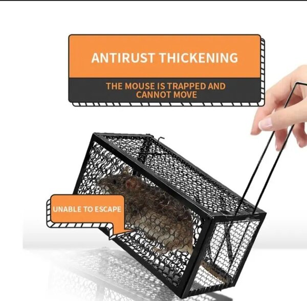 Cage à souris