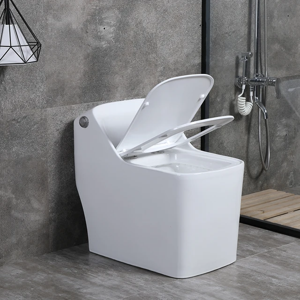 Syphonic system water closet