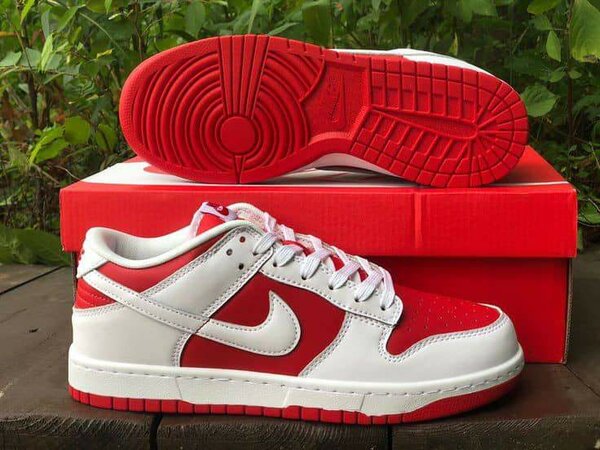 Chaussure NIKE
