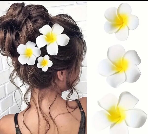 Pince à cheveux
