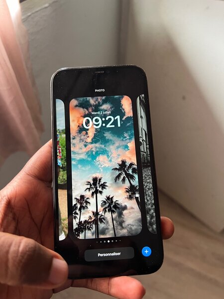 iPhone 12 Pro Max