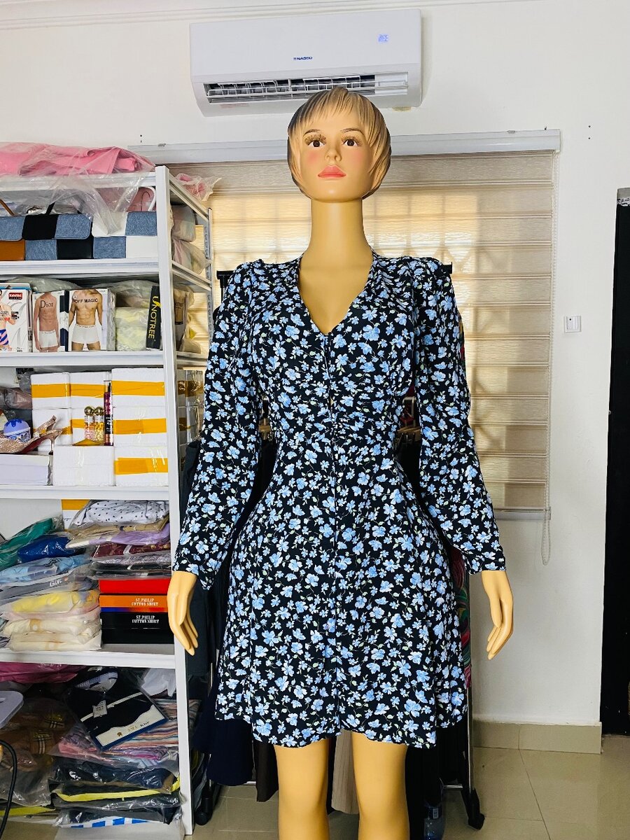 Ladies dress