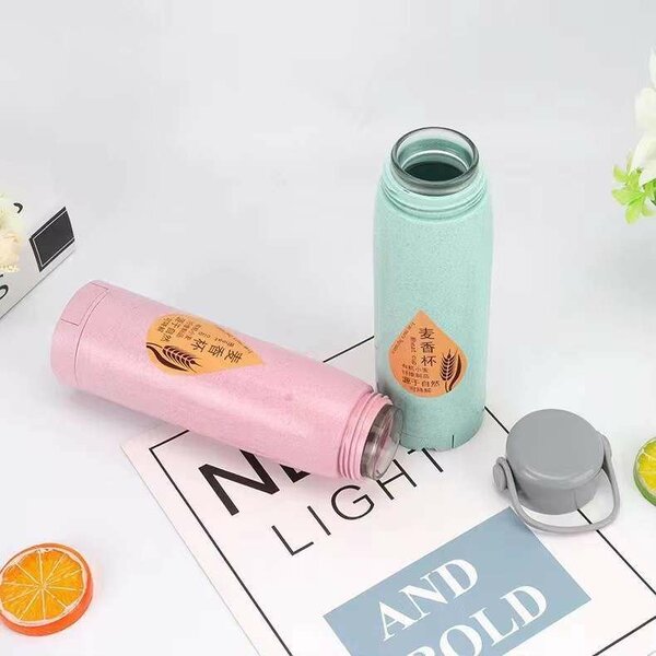 Gourdes Thermos