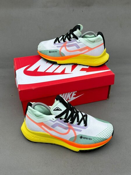 Nike Chaussures de Running GORE-TEX