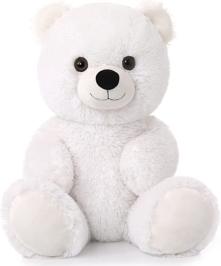 Teddy bear