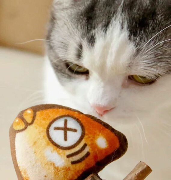 Cat's toys