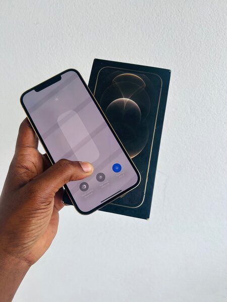 iPhone 12 Pro Max