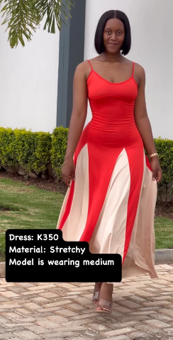 Elegant Dress 