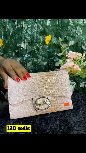 Ladies purse/bag