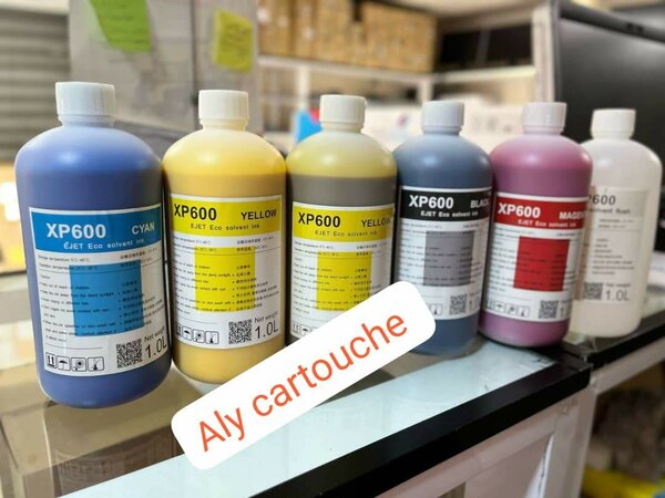 Aly cartouche