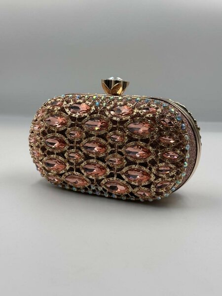 Nude & Gold Purse