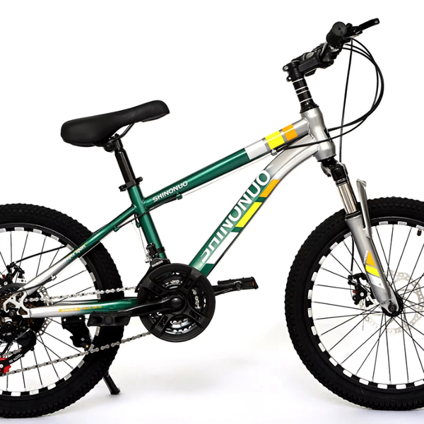 Vélo tout-terrain robuste