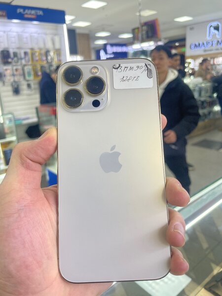 iPhone 13 Pro Max