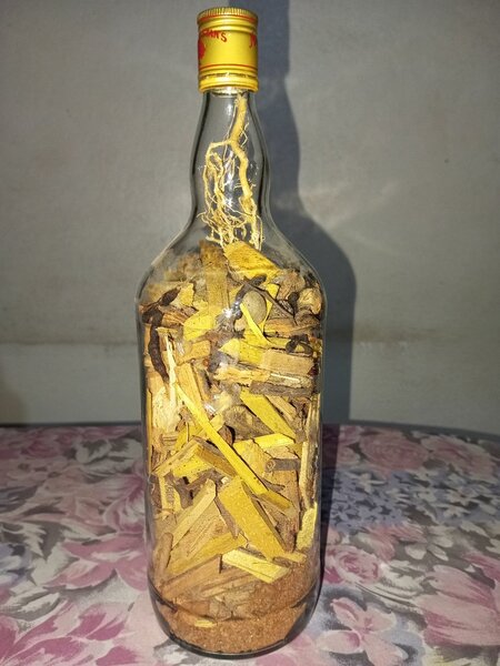 Racines BALTAZAR 3