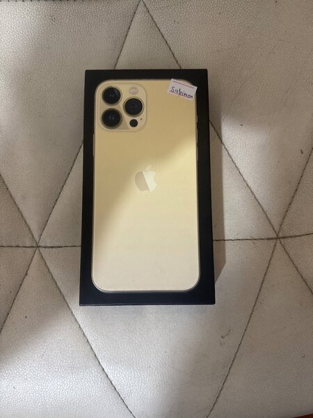 13 pro max