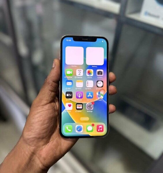 iPhone 12 Pro Max