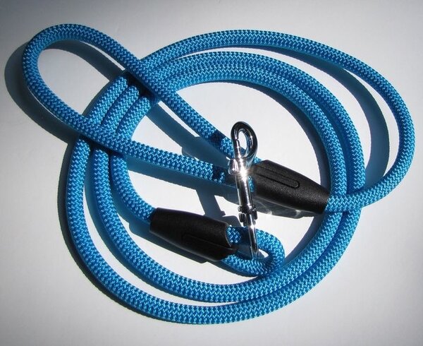Laisse pour chien