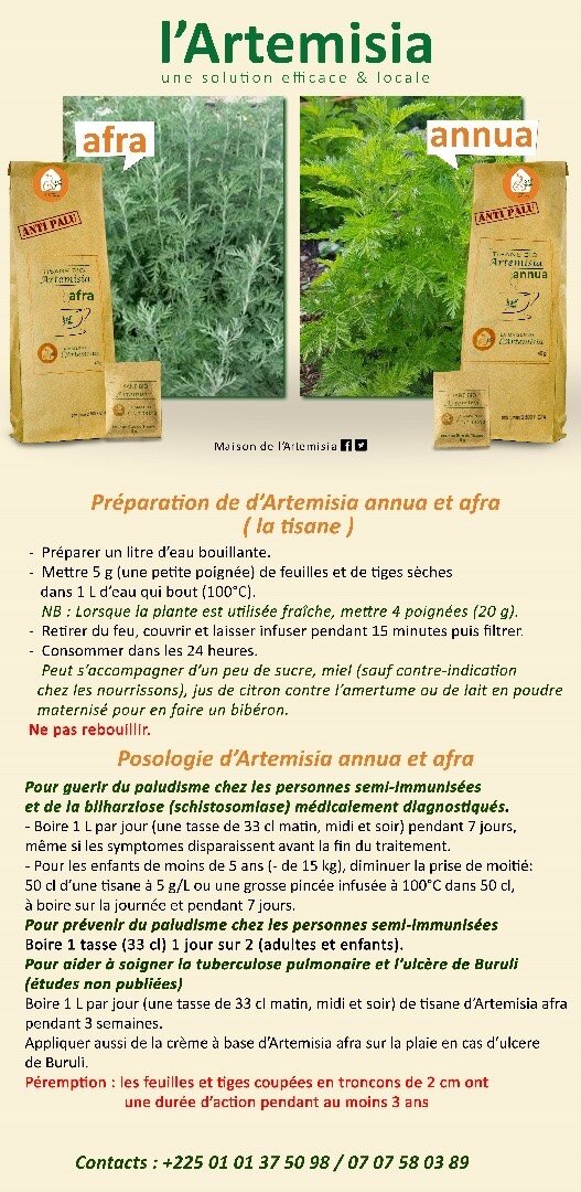 Thé Artemisia