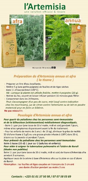 Thé Artemisia
