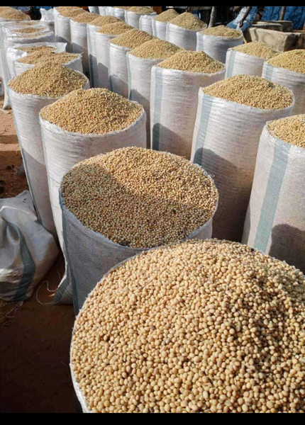 SOYA BEANS