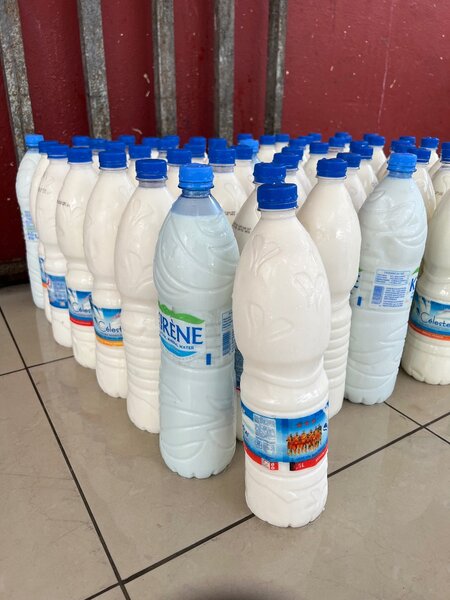 lait de bœuf