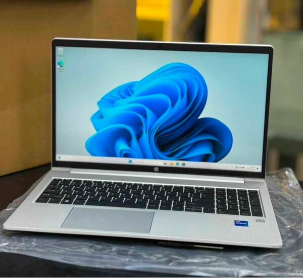 HP ProBook 450 G10