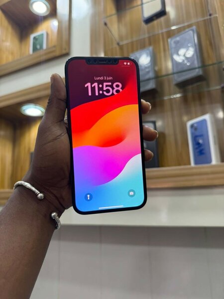 iPhone 12pro max