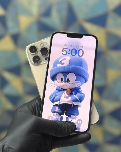 IPhone 13 pro max
