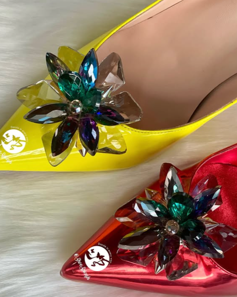 Shoe accessories 