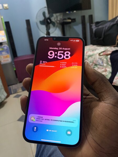 iPhone 13 Pro max