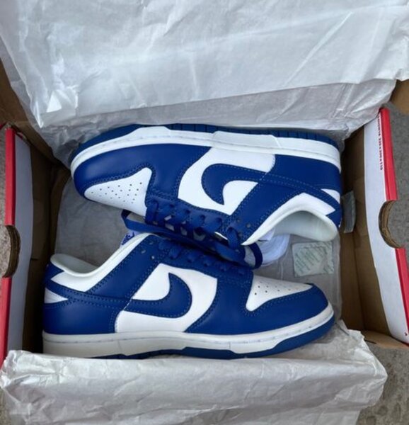 Nike dunk low
