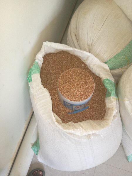 Millet