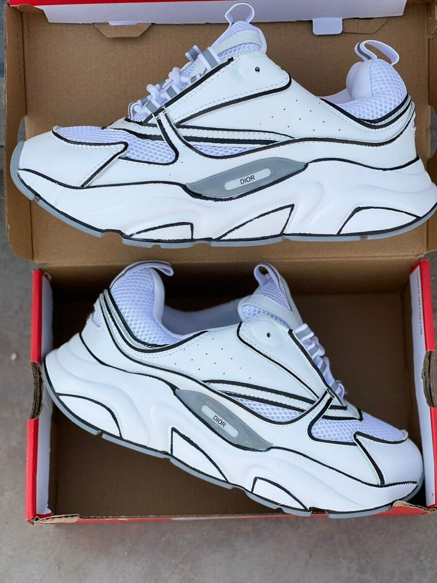 Basket Dior B22