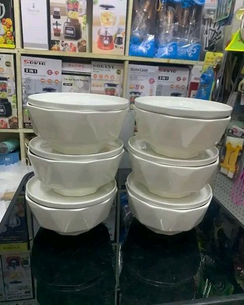 Ceramic bowls with cover