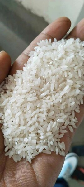 Local Ghanaian Rice