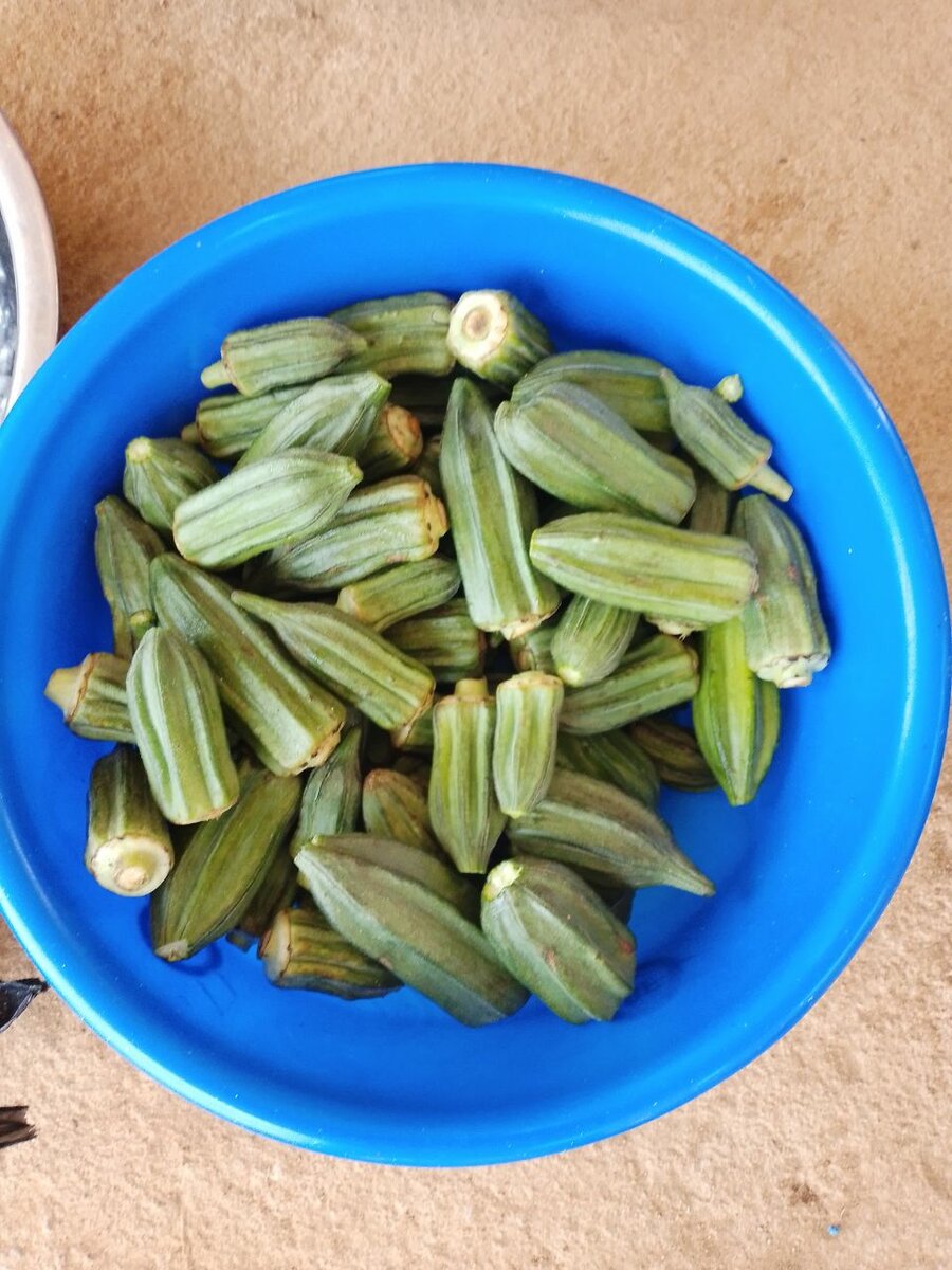 Piments frais bio