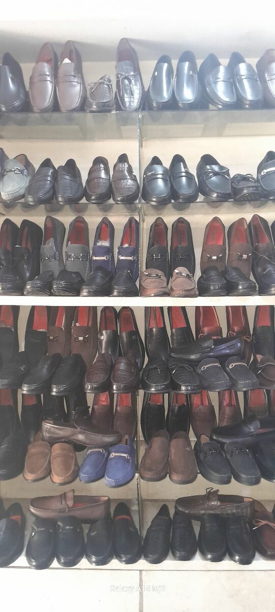 Mocassin