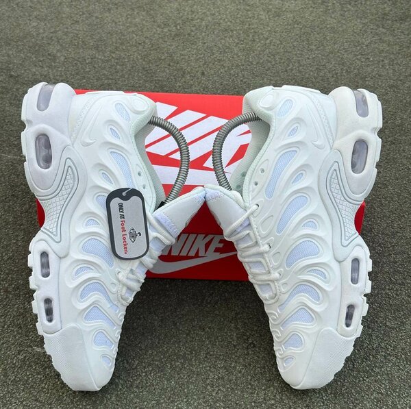 Basket TN