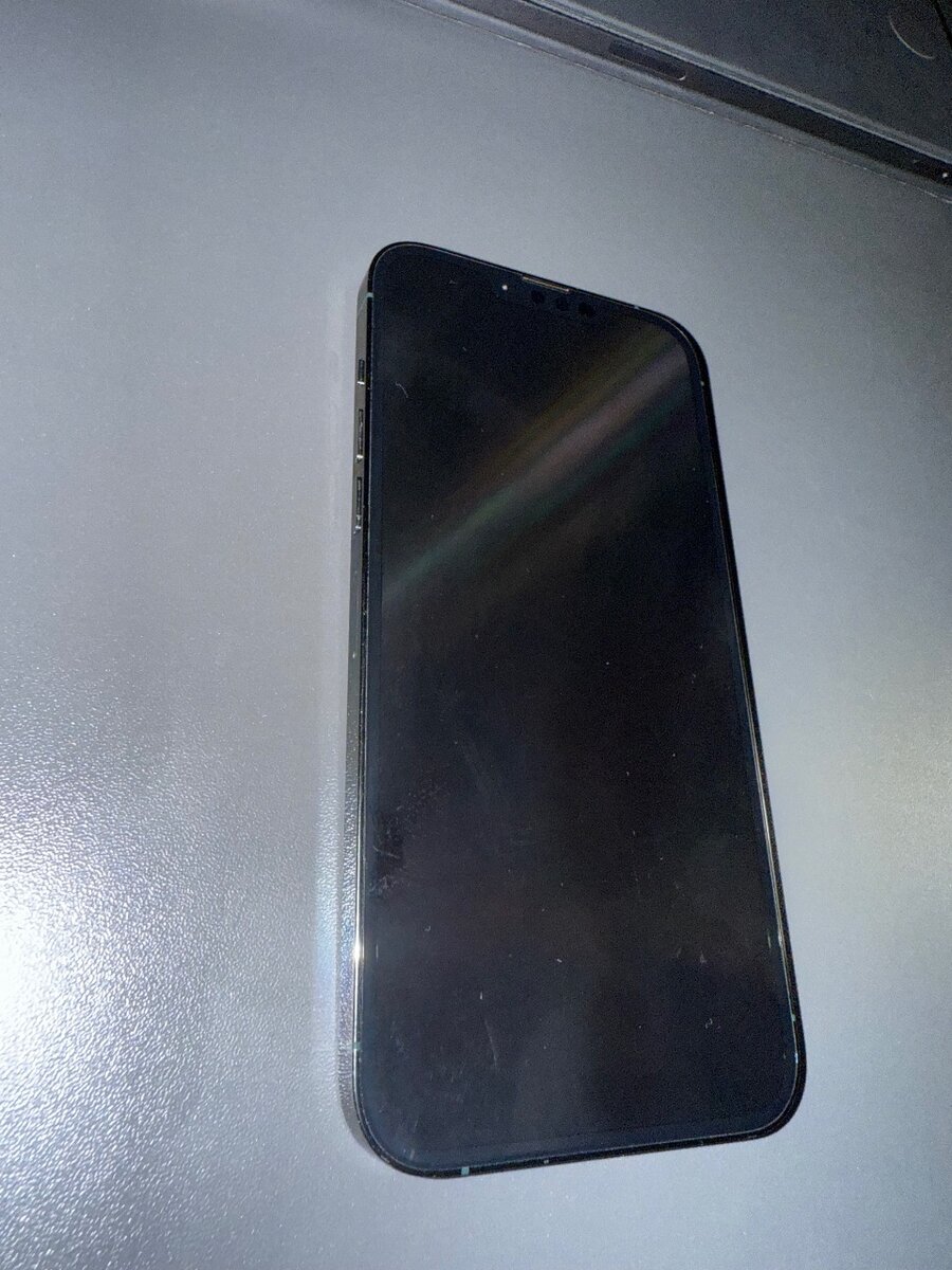 iPhone 13 pro max