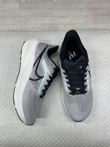 Nike pegasus39