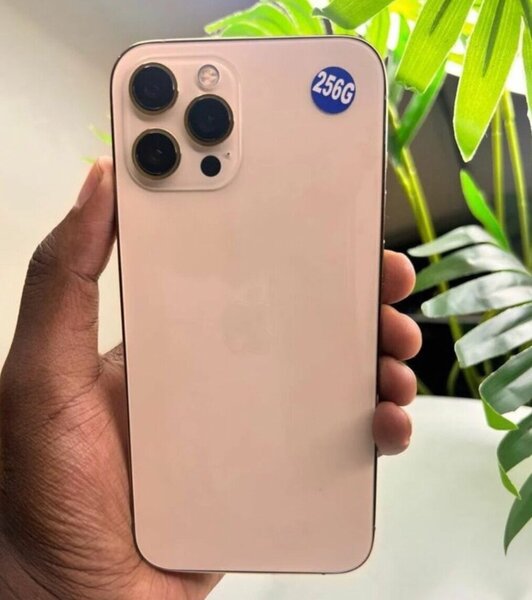 iPhone 12 Pro Max