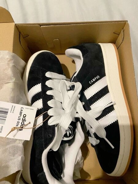Adidas campus authentique avec