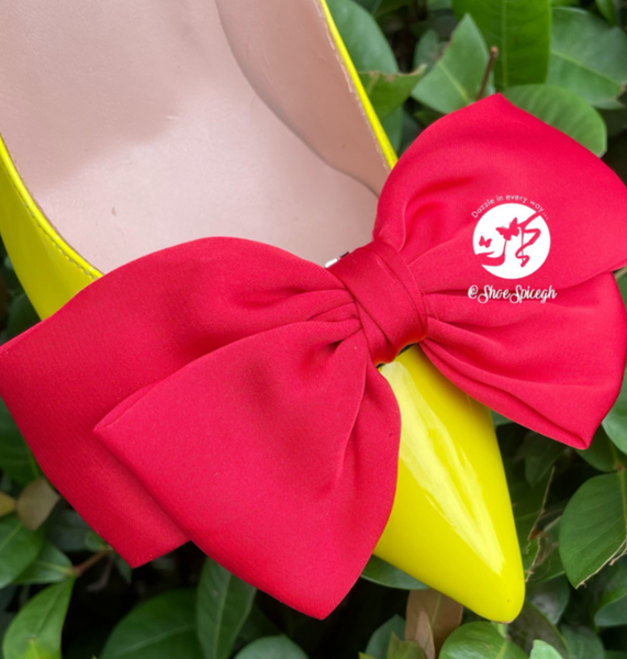 Shoe clips