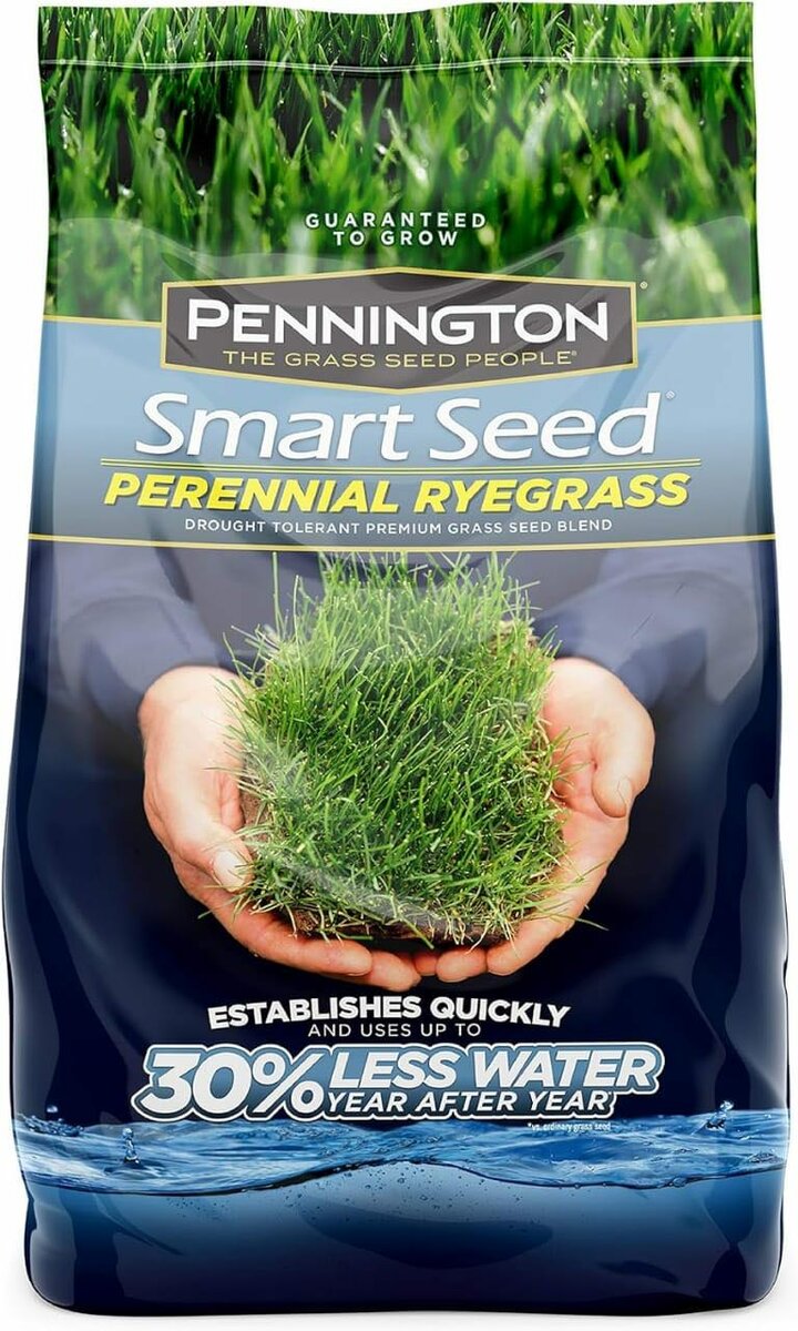 Grass Seeds