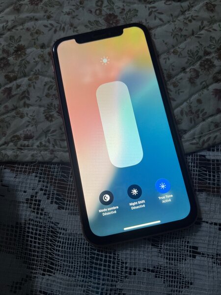iPhone XR dual SIM