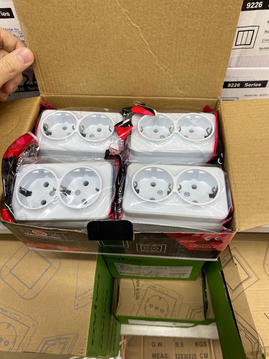 Lion Electric