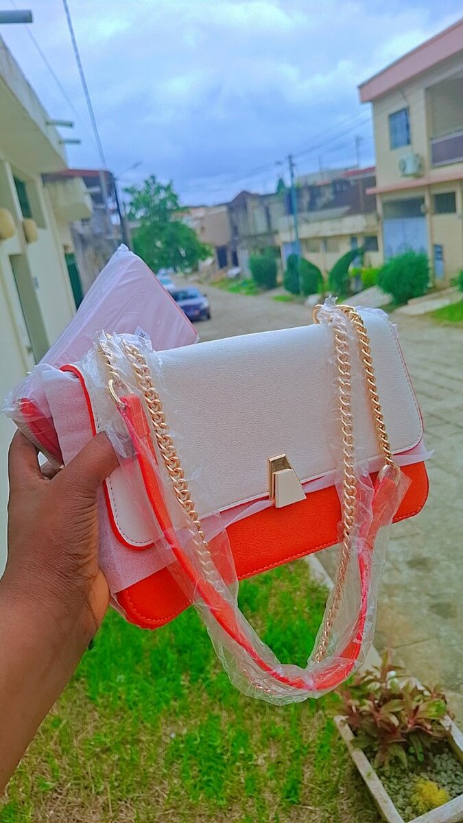 Sac élégant femme