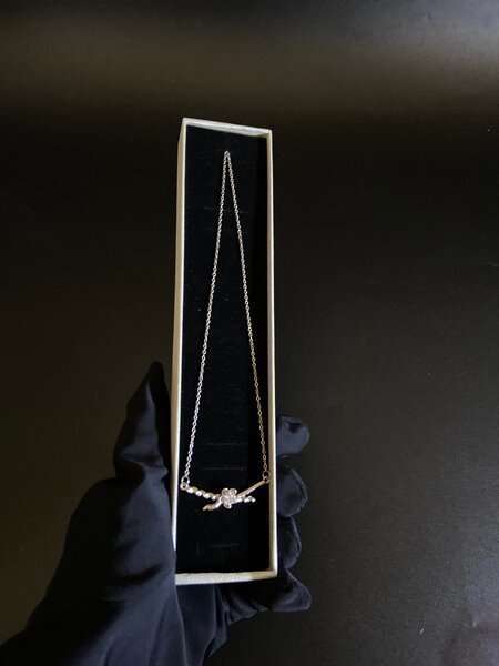 Trendy necklace