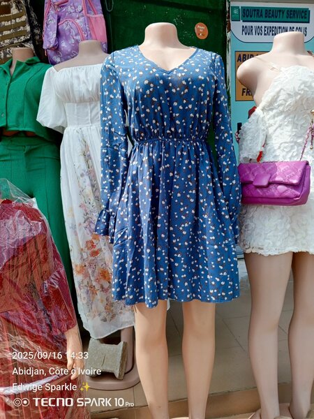 Robe Femme Élégante Bleue