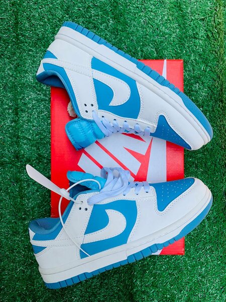 Nike sb